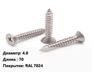 Саморез графит 4.8 L=70 RAL 7024
